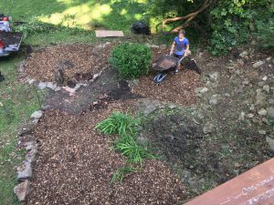 Wood chips for Garden Beds