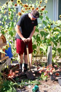 permaculture test site