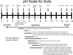 pH for trees and bushes