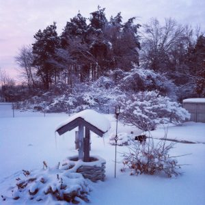 What to Do Before an Ice Storm