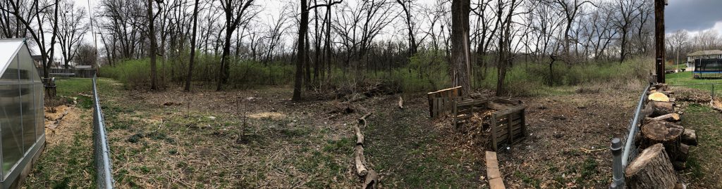 midwest food forest