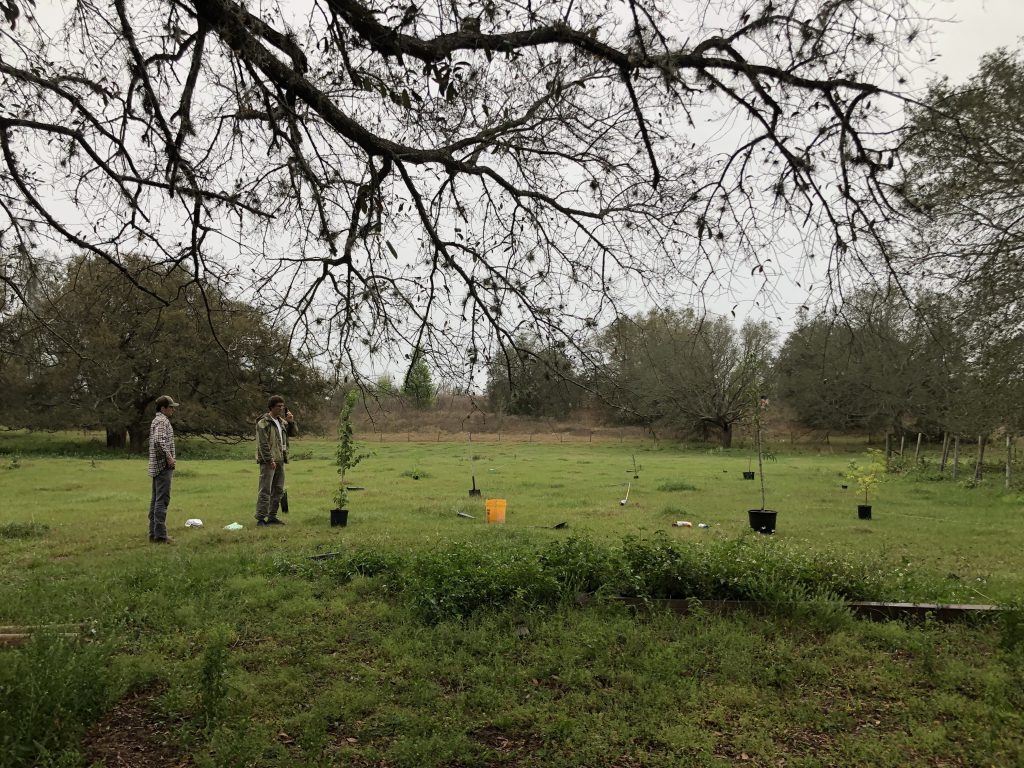 food forest planning