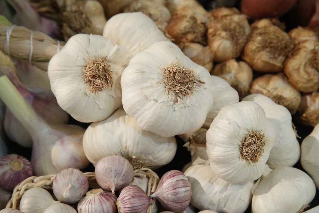 garlic in the food forest