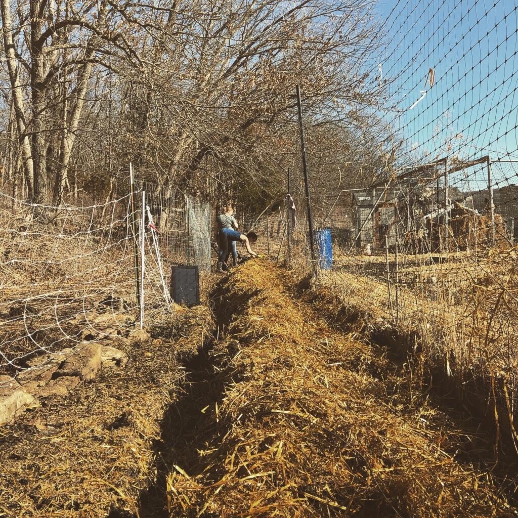 february swale digging