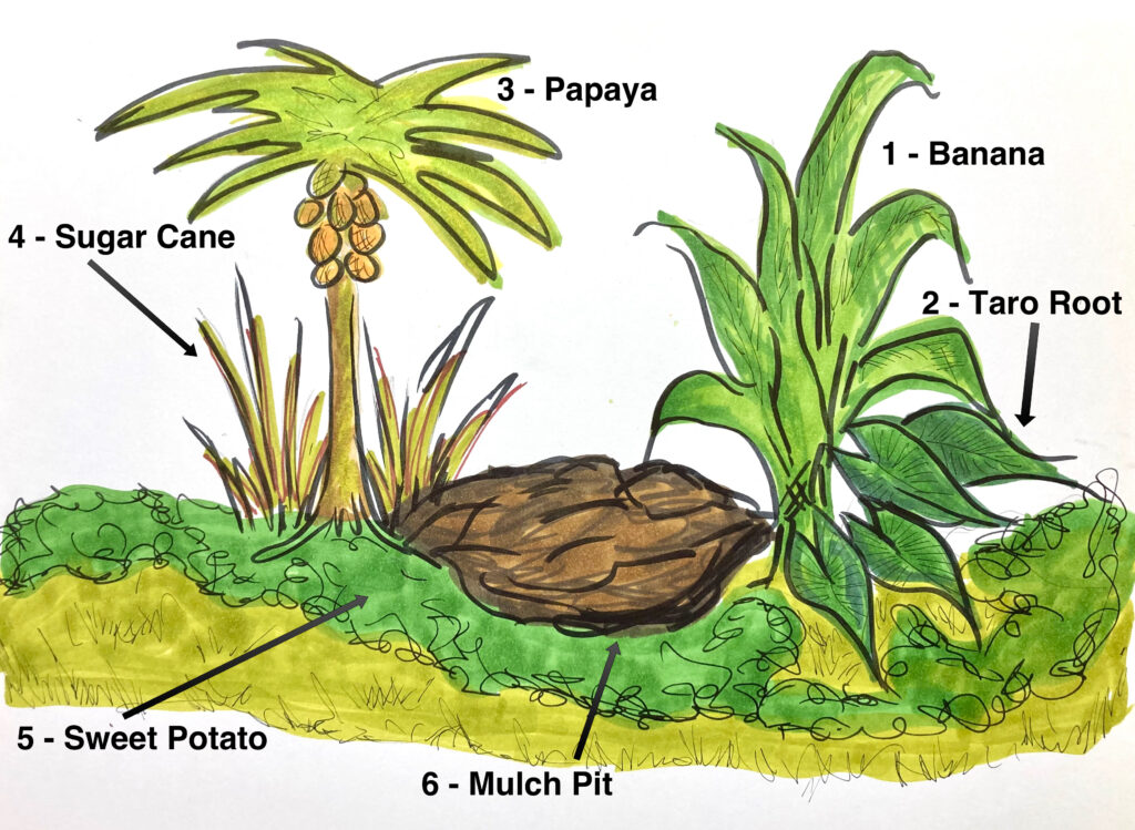 how to build a banana circle