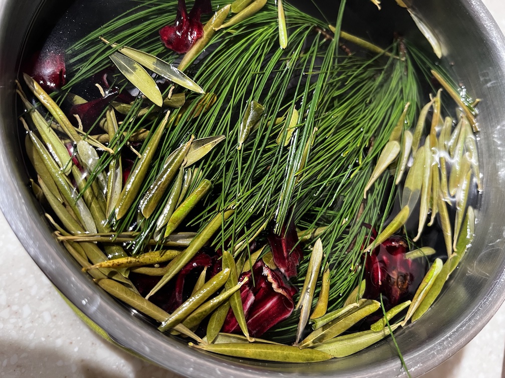 Winter Foraged Tea