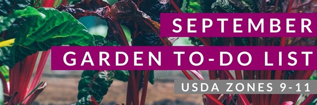 September Garden to do list subtropical climates