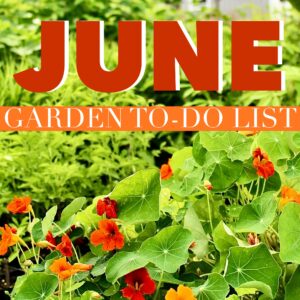 June gardening calendar