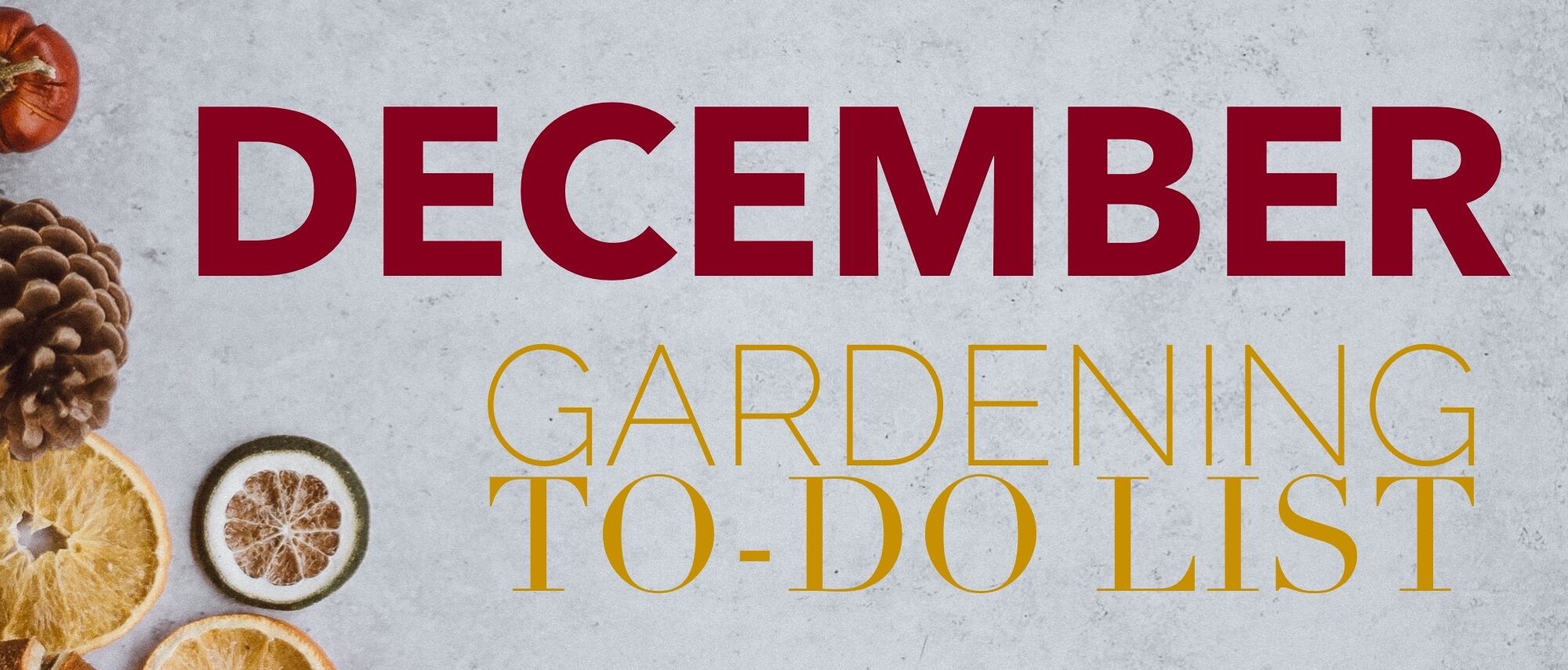 december gardening calendar