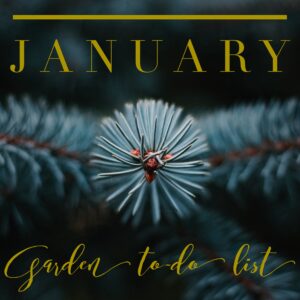 January gardening calendar