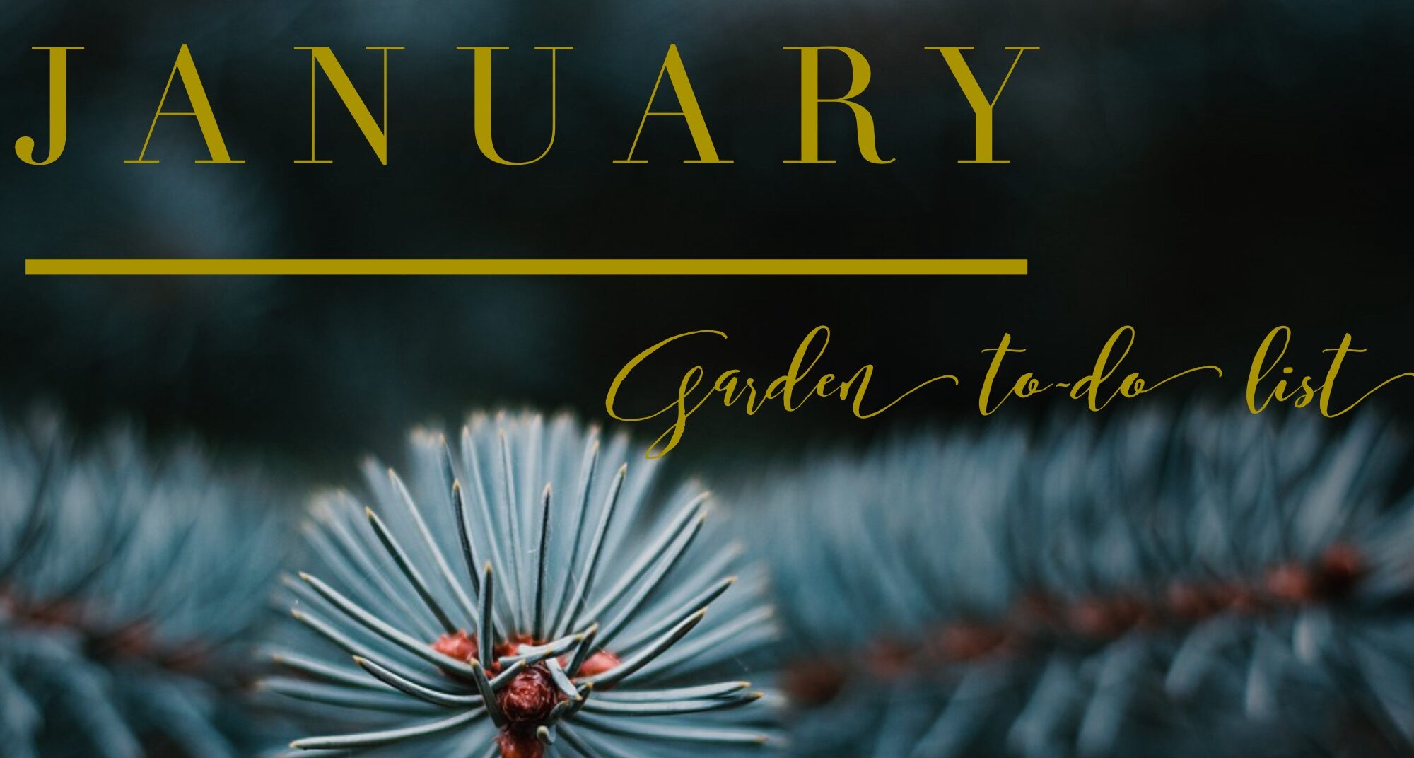 january garden calendar