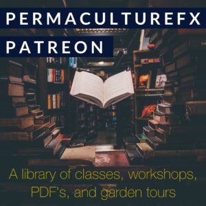 permaculture mentorship