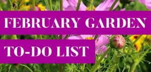 February Garden Calendar