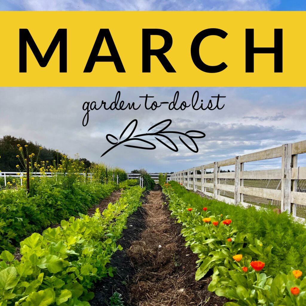 March Gardening To-Do List
