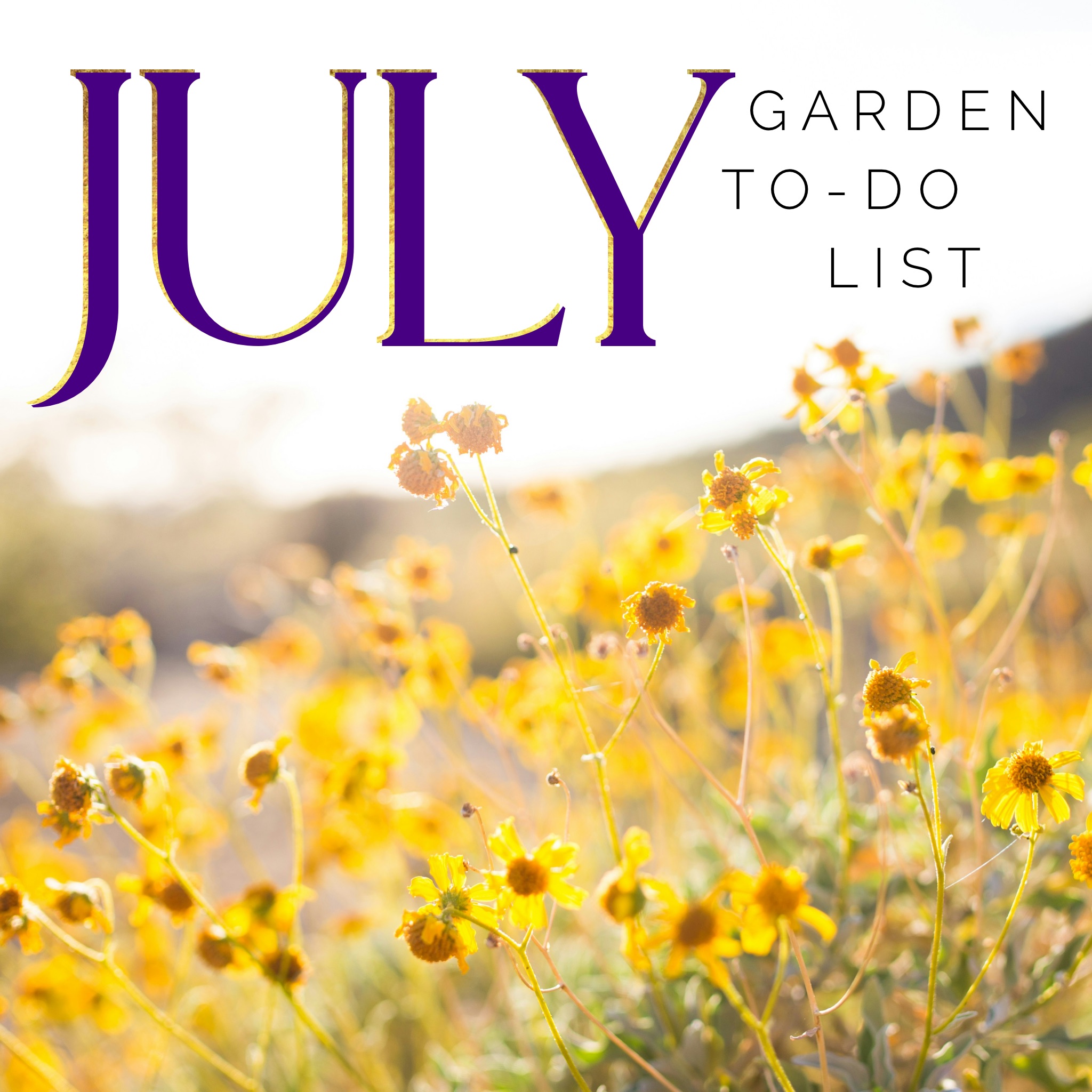 july garden calendar, july gardening calendar