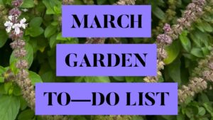 March garden calendar