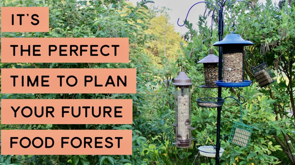 best Permaculture designer in florida