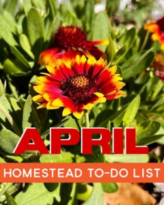 april garden calendar