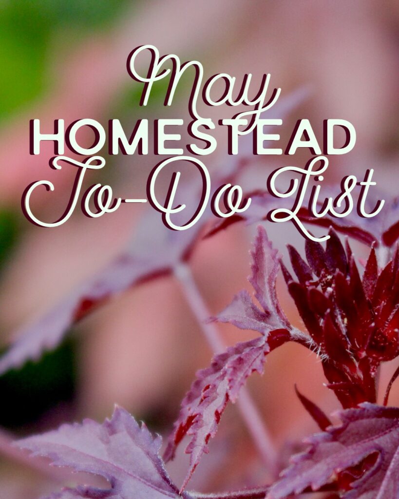 May Garden Calendar