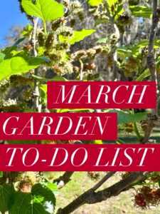 march garden calendar