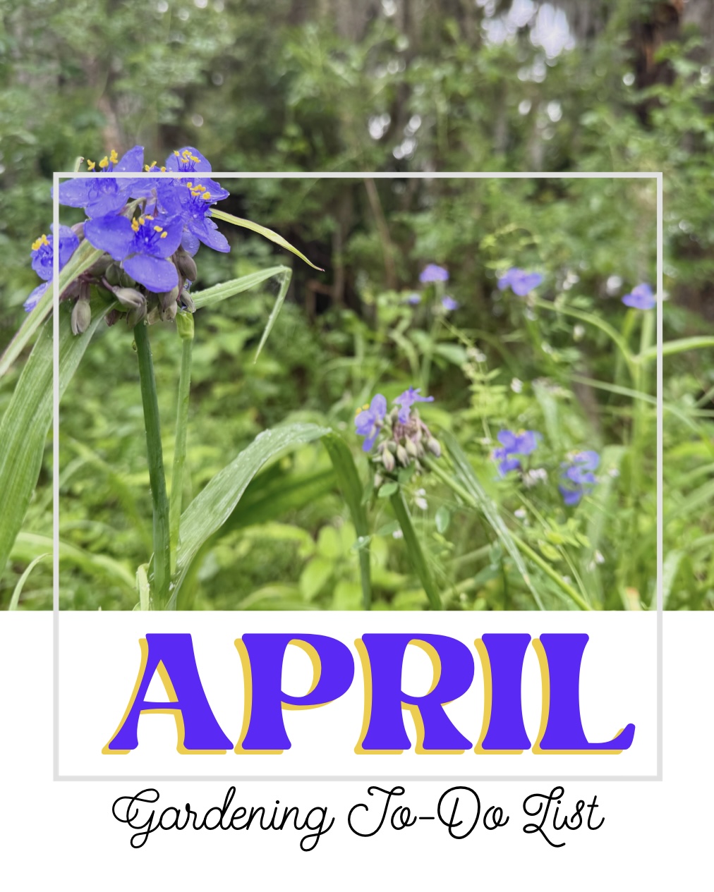 april garden calendar