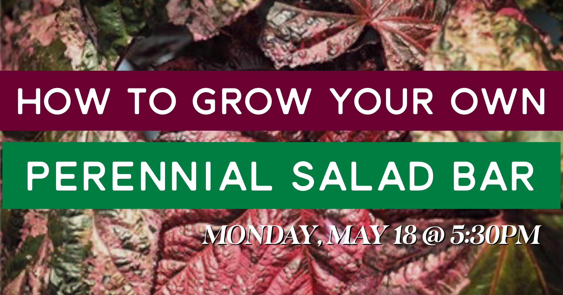 free permaculture class in florida