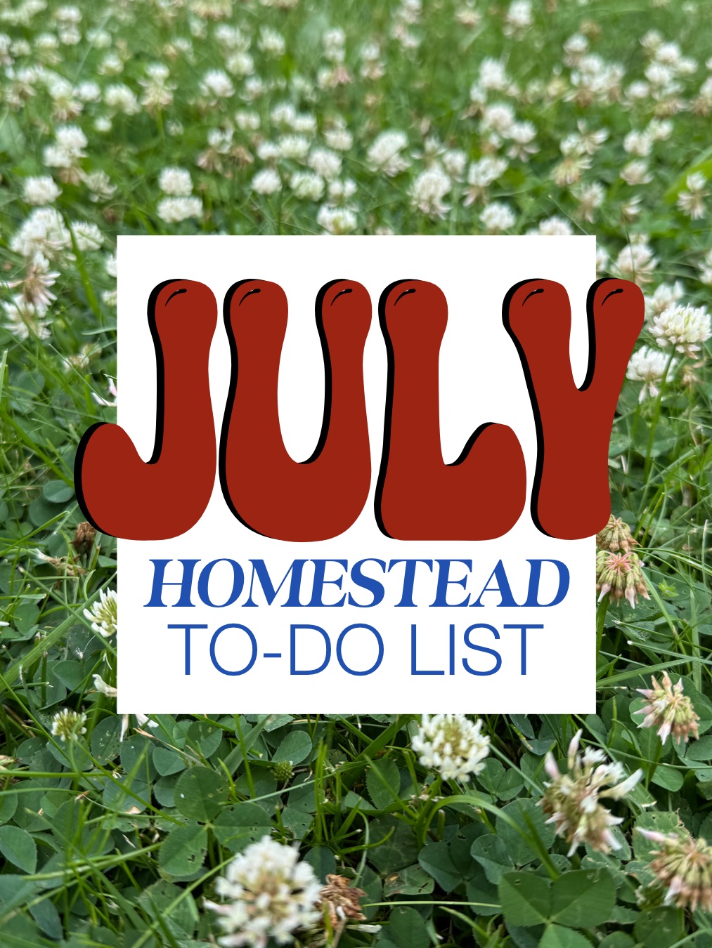 july garden calendar