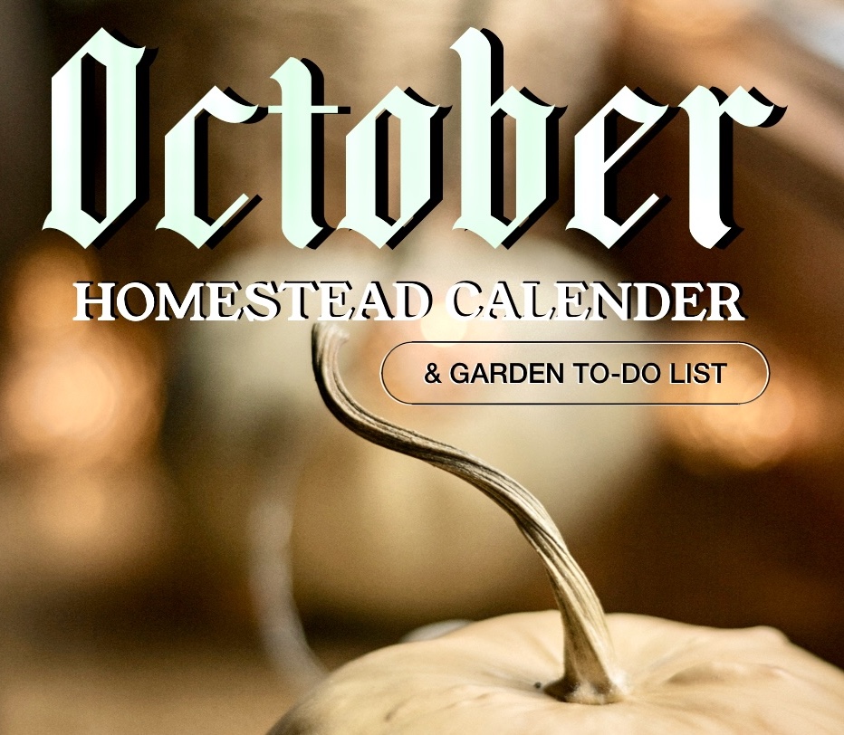 october garden calendar